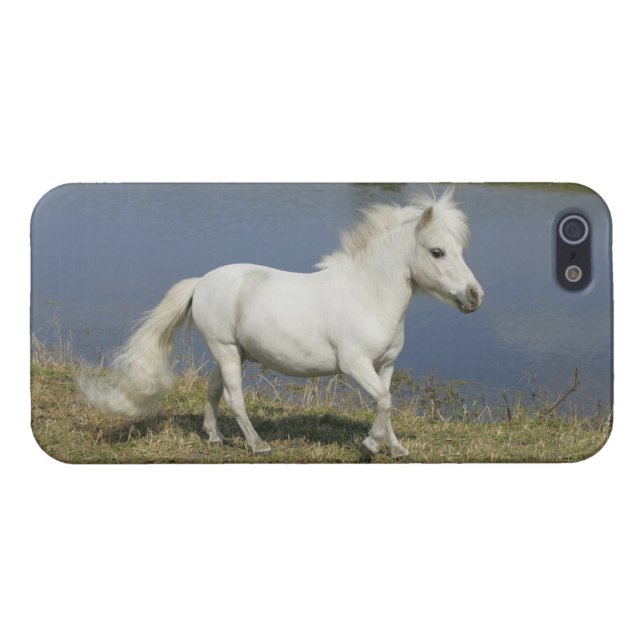 Miniature Horse Running Near Water iPhone Case (Back Horizontal)