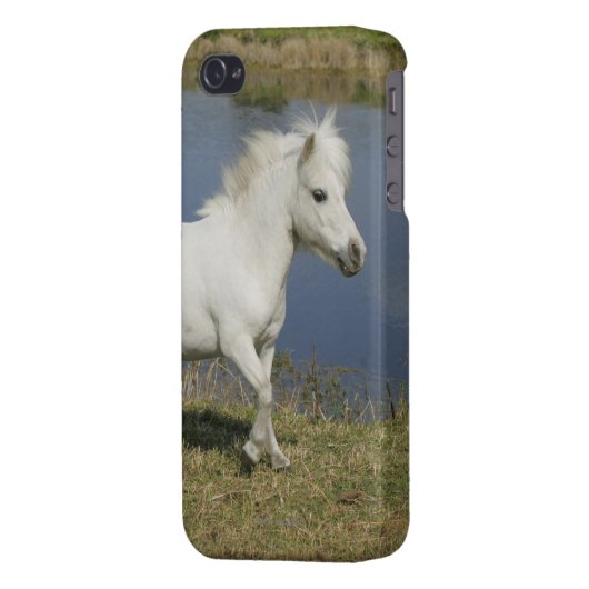 Miniature Horse Running Near Water iPhone Case (Back Left)