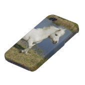 Miniature Horse Running Near Water iPhone Case (Bottom)