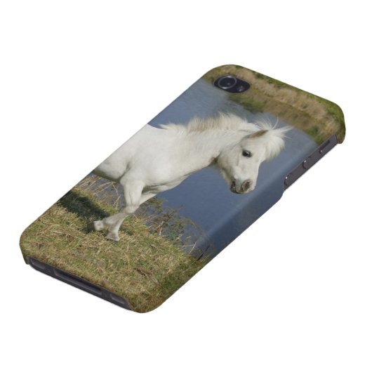Miniature Horse Running Near Water iPhone Case (Bottom)