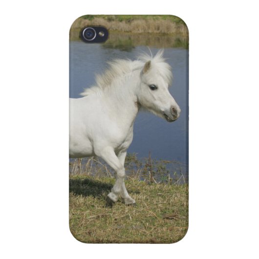 Miniature Horse Running Near Water iPhone Case (Back)
