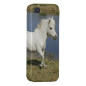 Miniature Horse Running Near Water iPhone Case (Back Right)