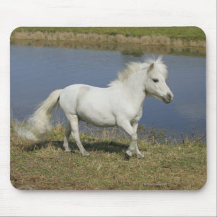 Miniature Horse Running Near Water Mouse Pad