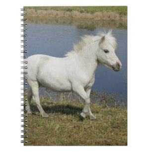 Miniature Horse Running Near Water Notebook