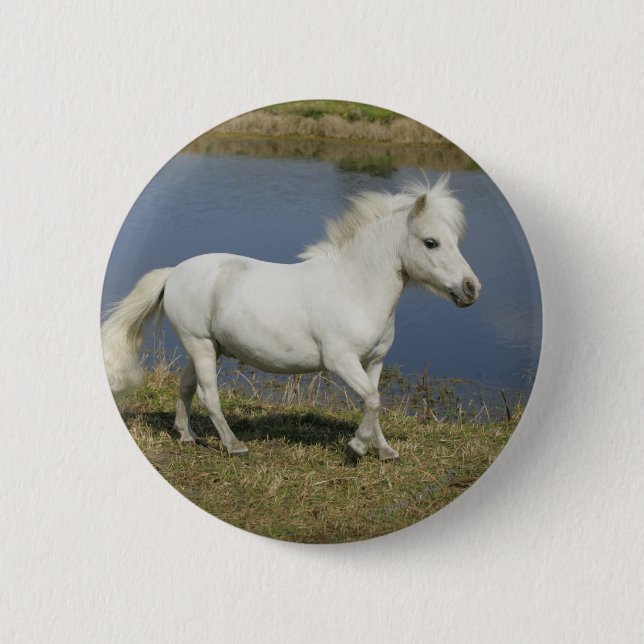 Miniature Horse Running Near Water Pinback Button (Front)