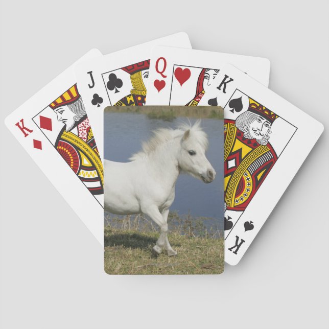 Miniature Horse Running Near Water Poker Cards (Back)