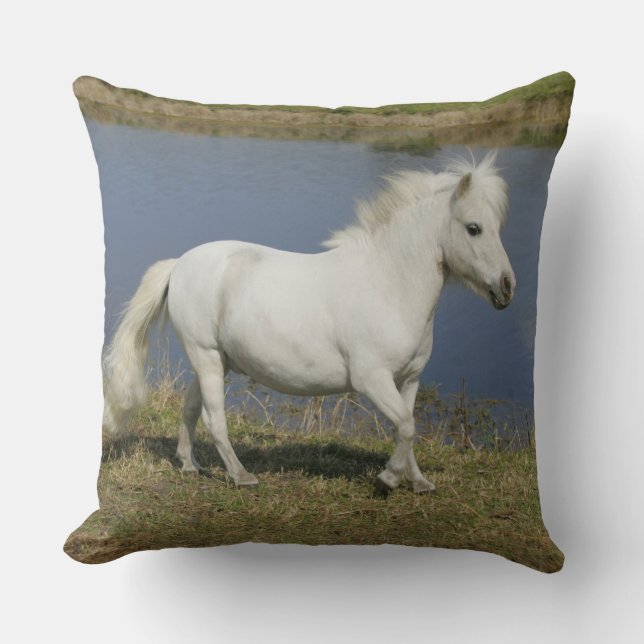 Miniature Horse Running Near Water Throw Pillow (Front)
