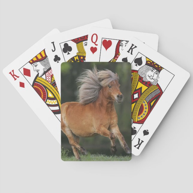 Miniature Horse Running Poker Cards (Back)