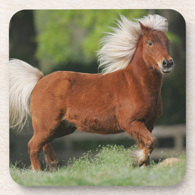 Miniature Horse Standing Beverage Coaster (Front)