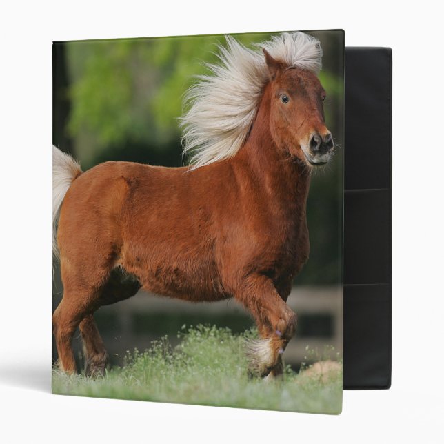 Miniature Horse Standing Binder (Front/Inside)