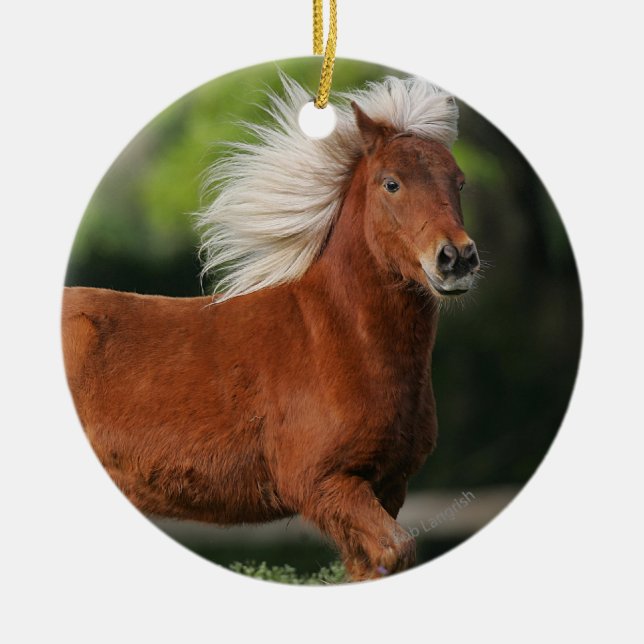 Miniature Horse Standing Ceramic Ornament (Front)