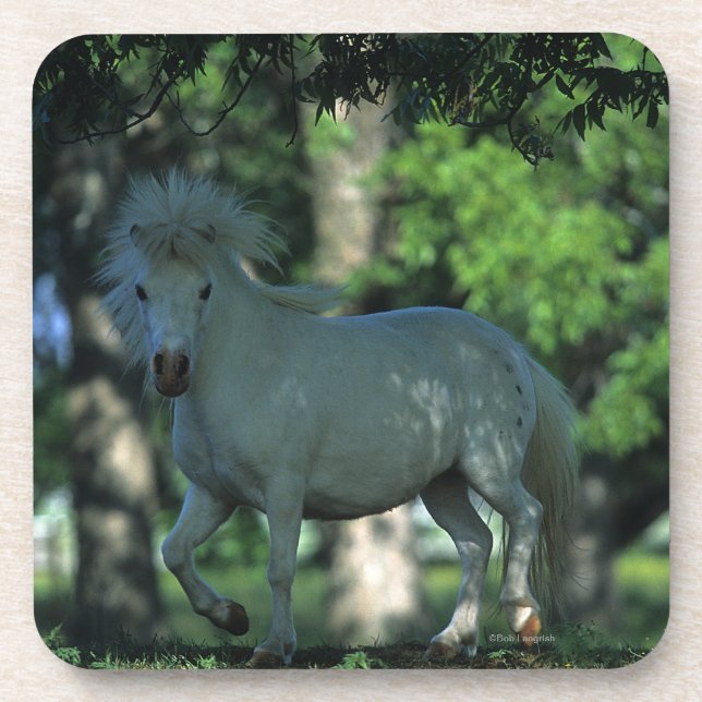 Miniature Horse Standing in the Trees Beverage Coaster (Front)