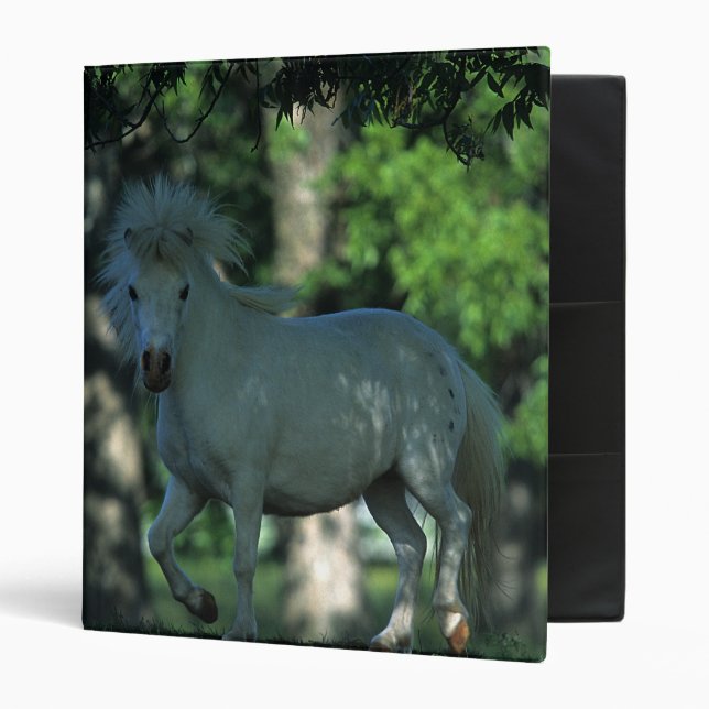 Miniature Horse Standing in the Trees Binder (Front/Inside)