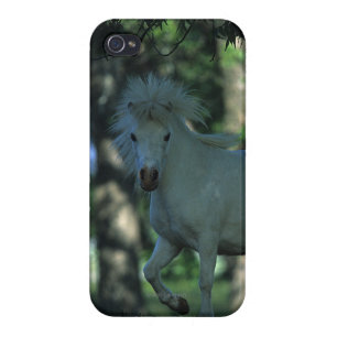Miniature Horse Standing in the Trees iPhone 4 Cover