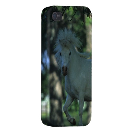 Miniature Horse Standing in the Trees iPhone Case (Back Right)
