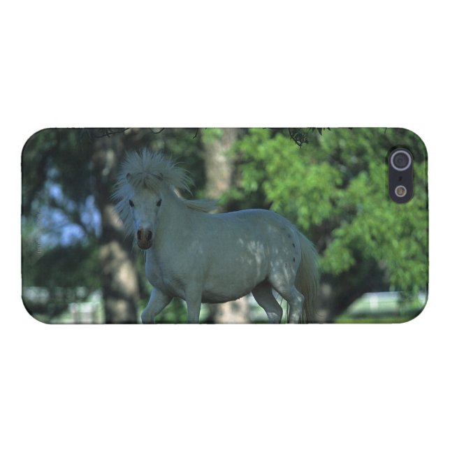 Miniature Horse Standing in the Trees iPhone Case (Back Horizontal)