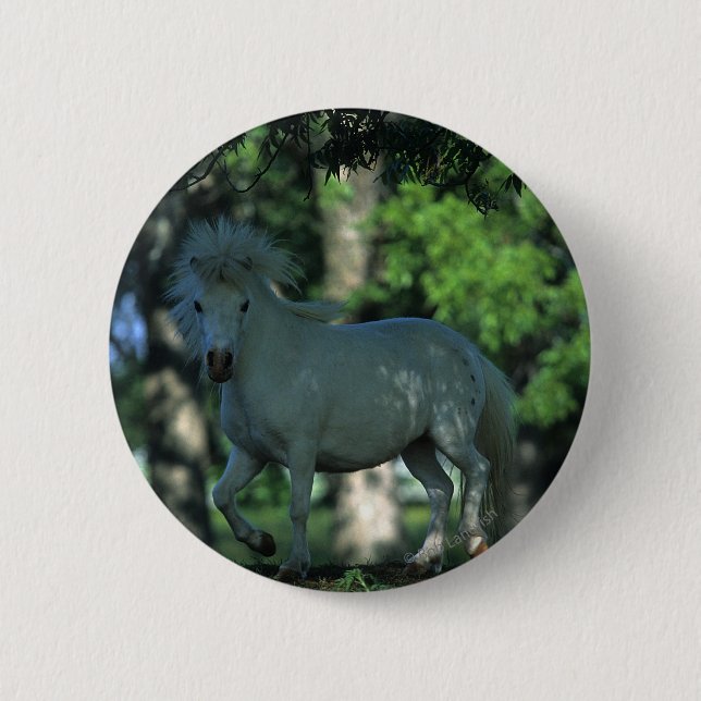 Miniature Horse Standing in the Trees Pinback Button (Front)