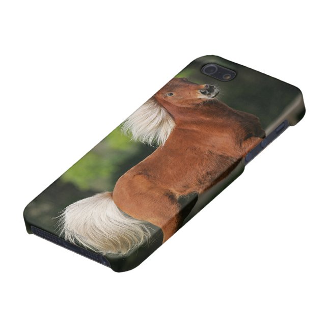 Miniature Horse Standing iPhone Case (Bottom)