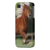 Miniature Horse Standing iPhone Case (Back Left)