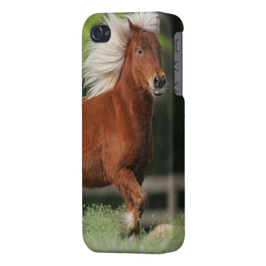 Miniature Horse Standing iPhone Case (Back Left)
