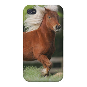 Miniature Horse Standing Cover For iPhone 4