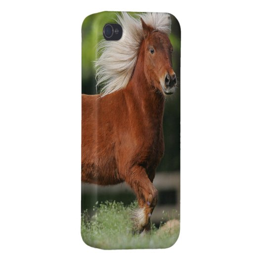 Miniature Horse Standing iPhone Case (Back Right)