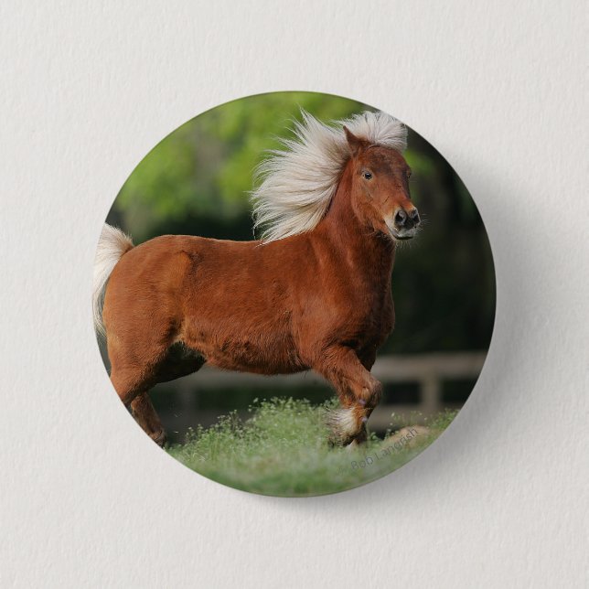 Miniature Horse Standing Pinback Button (Front)