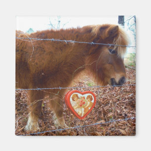 Miniature horse Valentine Red Heart Magnet