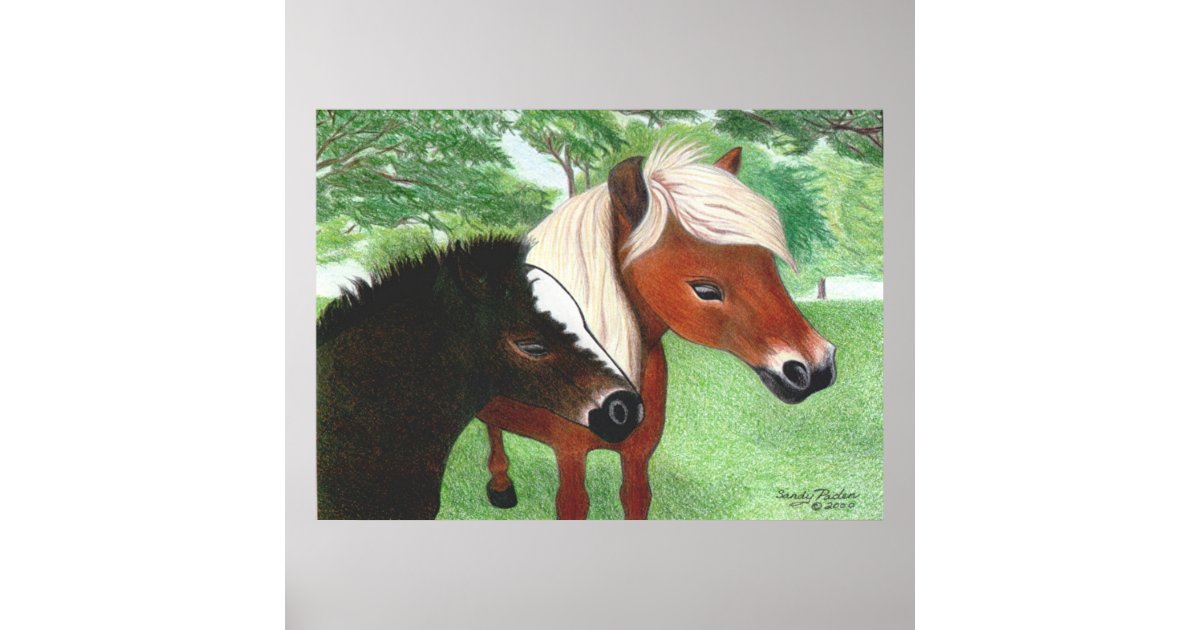Miniature Horses Poster | Zazzle