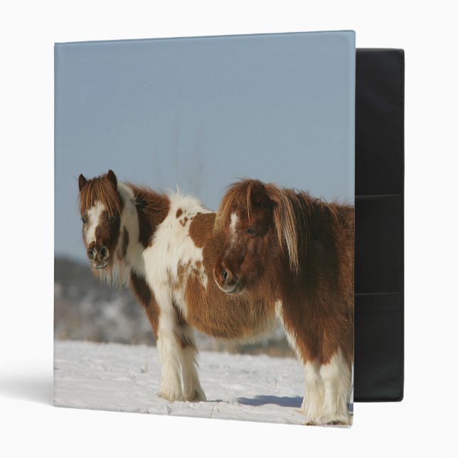Miniature Horses Standing in the Snow Binder (Front/Inside)