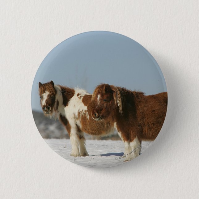 Miniature Horses Standing in the Snow Button (Front)