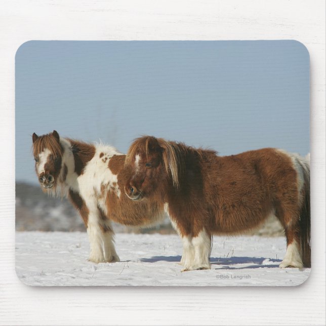 Miniature Horses Standing in the Snow Mouse Pad (Front)