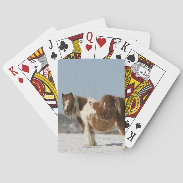 Miniature Horses Standing in the Snow Poker Cards (Back)