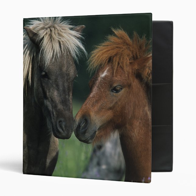 Miniature Horses Touching Binder (Front/Inside)