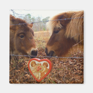Miniature horses Valentine Red Heart Magnet