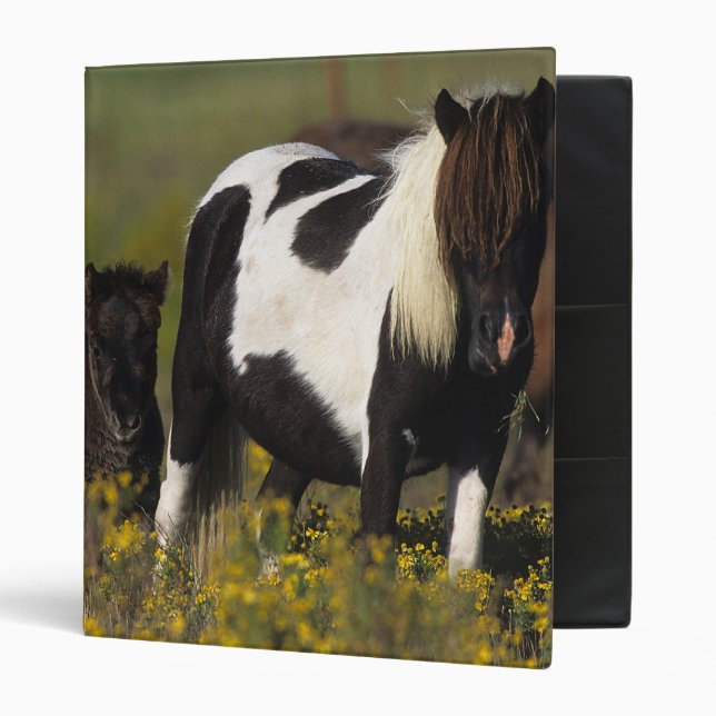 Miniature Mare & Foal in the Flowers Binder (Front/Inside)