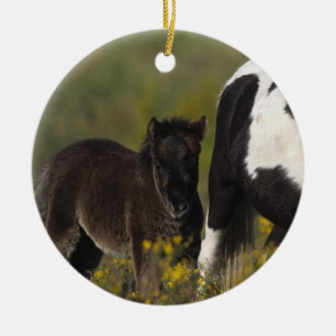 Miniature Mare & Foal in the Flowers Ceramic Ornament