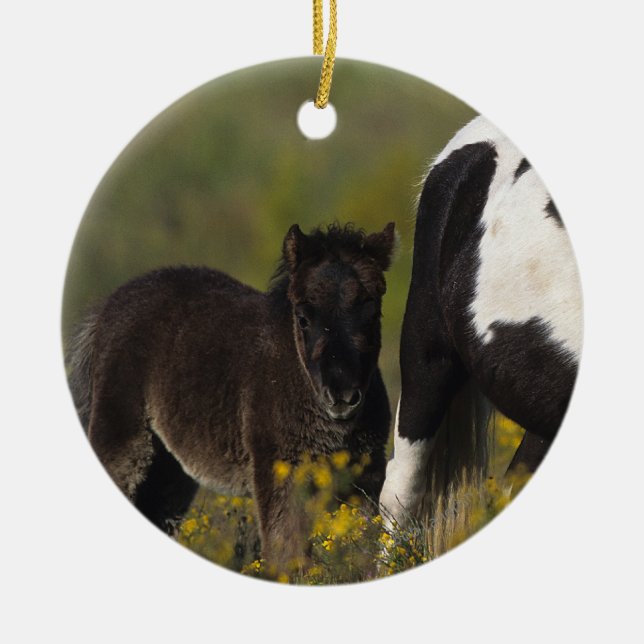Miniature Mare & Foal in the Flowers Ceramic Ornament (Front)