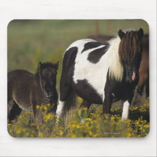Miniature Mare & Foal in the Flowers Mouse Pad