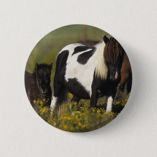Miniature Mare & Foal in the Flowers Pinback Button
