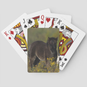 Miniature Mare & Foal in the Flowers Poker Cards