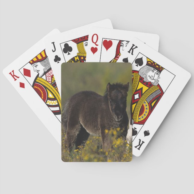 Miniature Mare & Foal in the Flowers Poker Cards (Back)