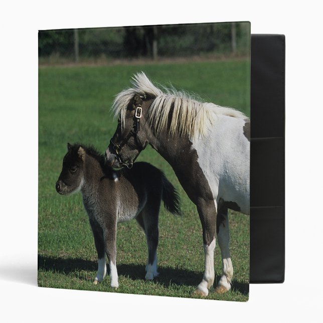 Miniature Mare & Foal Standing 3 Ring Binder (Front/Inside)