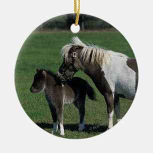 Miniature Mare & Foal Standing Ceramic Ornament