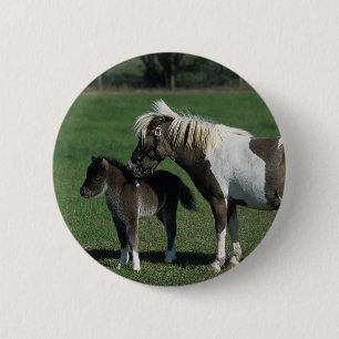 Miniature Mare & Foal Standing Pinback Button