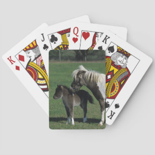 Miniature Mare & Foal Standing Poker Cards