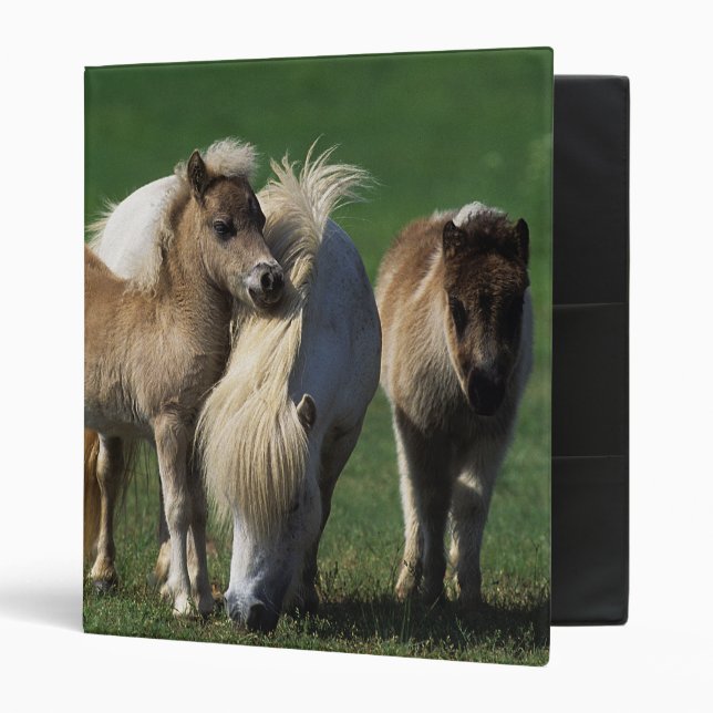 Miniature Mare & Foals 1 Binder (Front/Inside)