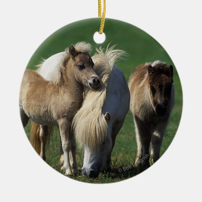 Miniature Mare & Foals 1 Ceramic Ornament (Front)