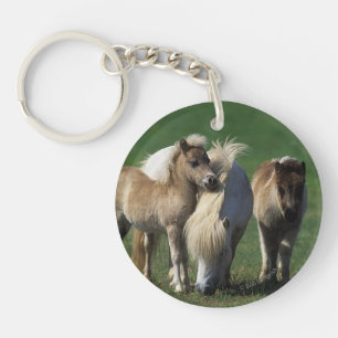 Miniature Mare & Foals 1 Keychain