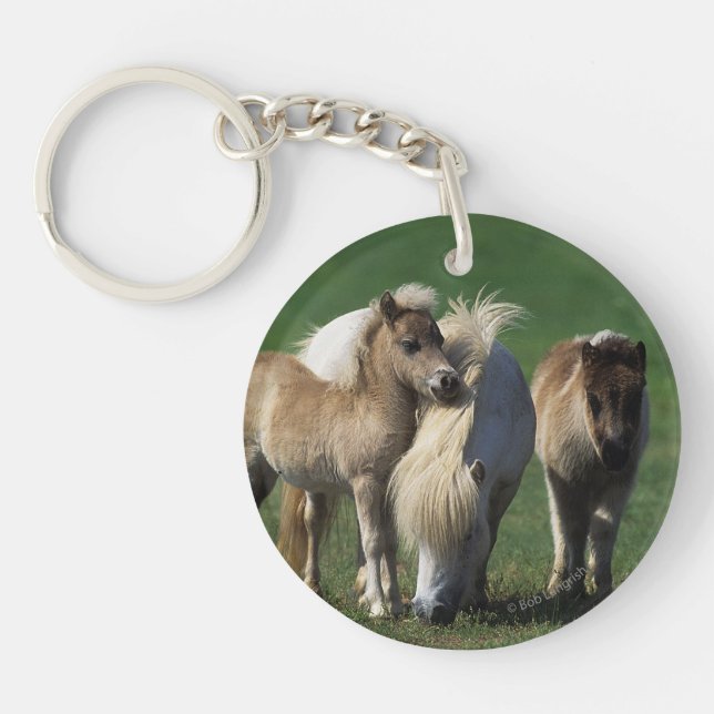Miniature Mare & Foals 1 Keychain (Front)